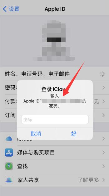 怎么查看自己的苹果ID密码，AppleID账号是什么