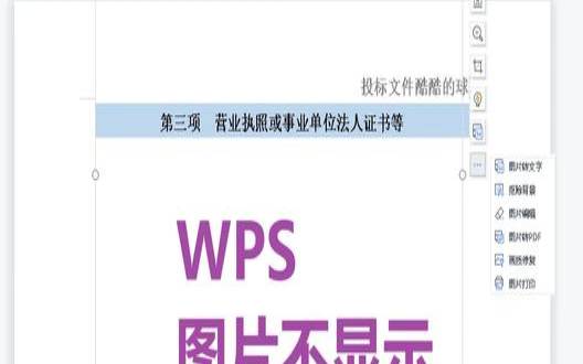 wps文档中图片选不中怎么办（wps图片显示不出来只有代码）