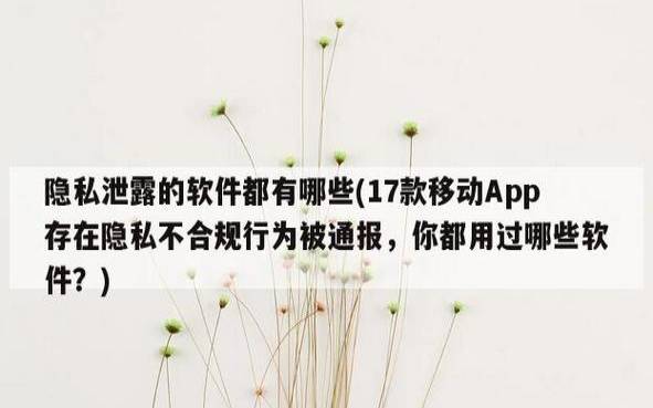 app泄露隐私的危害（未登录软件隐私会泄露吗）