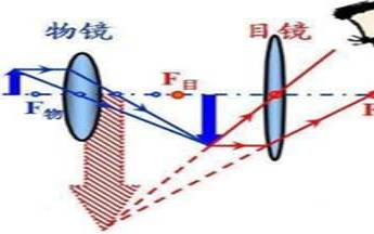 平面镜中所成的像是什么像（显微镜成像是什么像）