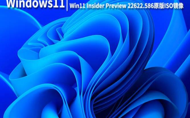 win11正式版镜像下载（windows11官方原版镜像）