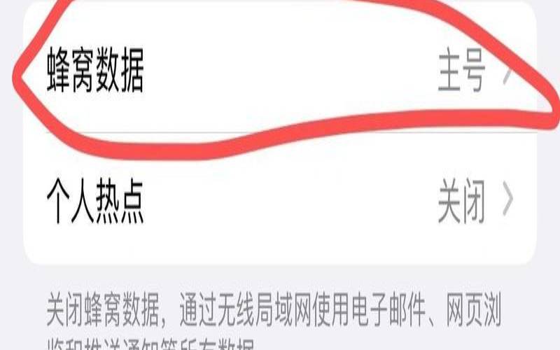 蜂窝数据打开什么都没有,蜂窝数据开了还是没网络