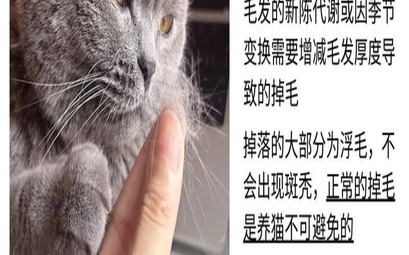 pureatic浦瑞克,猫咪掉毛一块秃了用什么药